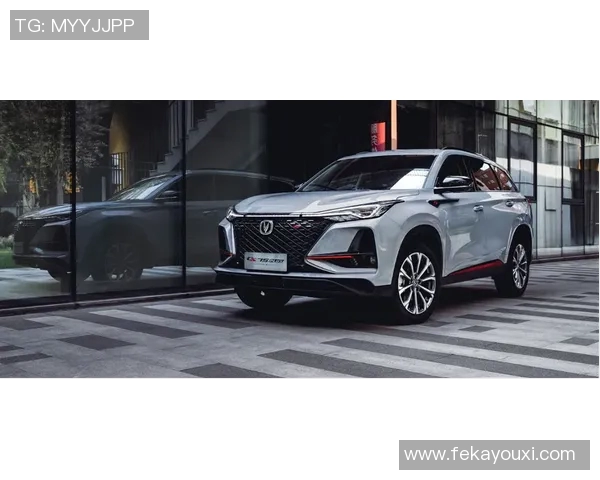 邓伯什与奥斯的巅峰对决谁将成为拳击界的新王者