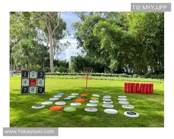 飞盘运动的魅力与挑战：深入了解西安飞盘队的灵活性与团队精神MBA